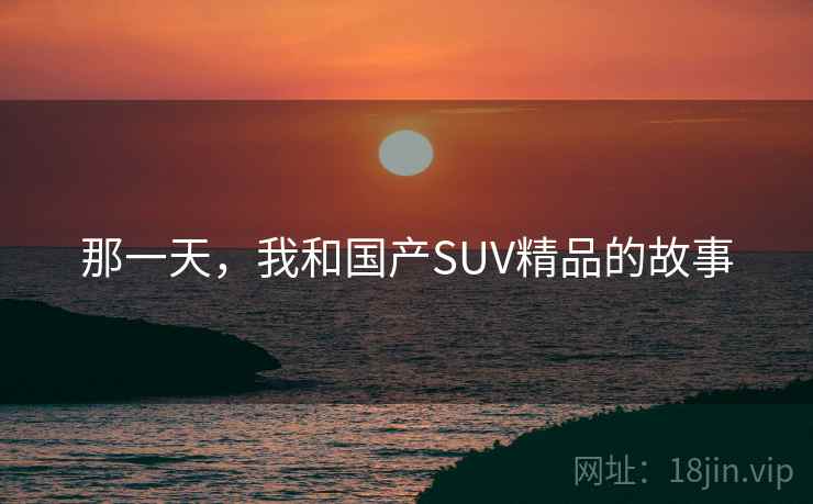 那一天，我和国产SUV精品的故事