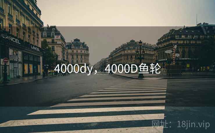 4000dy，4000D鱼轮