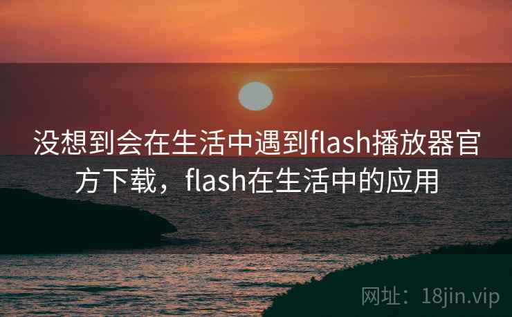 没想到会在生活中遇到flash播放器官方下载,flash在生活中的应用 没想到会在生活中遇到flash播放器官方下载,flash在生活中的应用
