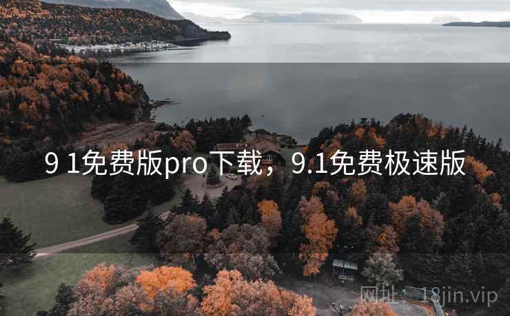 9 1免费版pro下载,9.1免费极速版 9 1免费版pro下载,9.1免费极速版